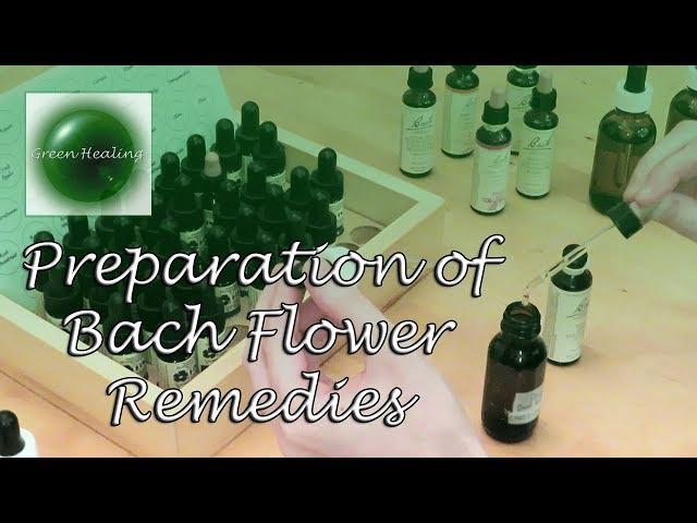 How to Prepare Bach Flower Remedies (Green Healing S3E2)