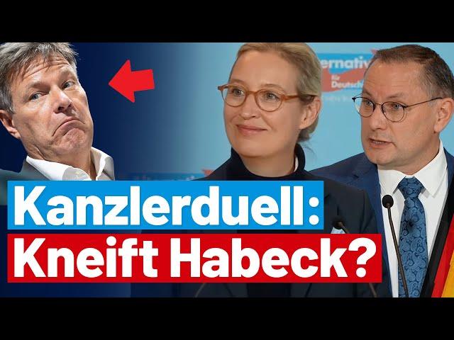 Alice Weidel macht sich über Habeck lustig!   Presseerklärung der AfD-Fraktionsvorsitzenden