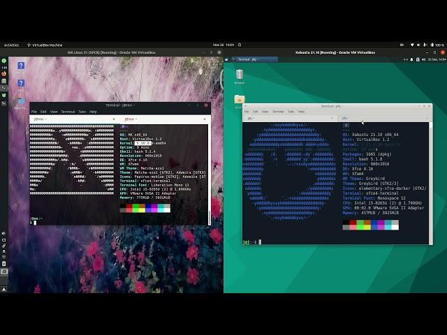 MX Linux 21 vs Xubuntu 21.10: comparing the basics