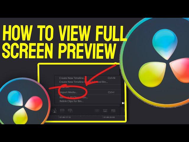 How to View Full Screen Preview in Davinci Resolve 18