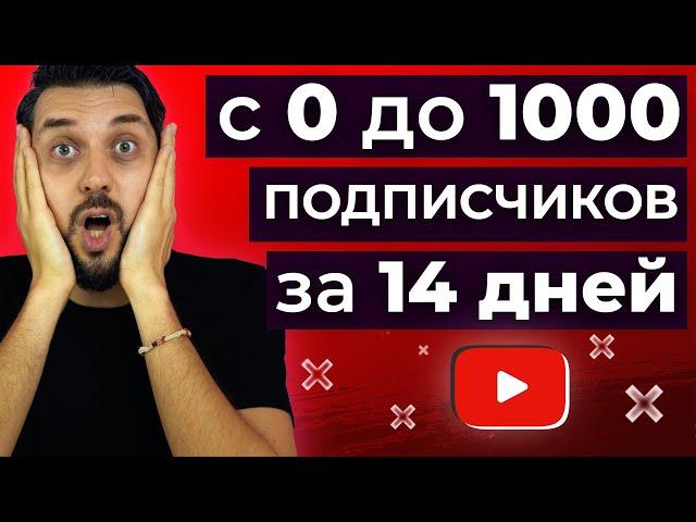 Как набрать первую 1000 подписчиков на YouTube за 14 дней с нуля