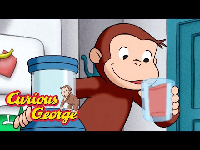 Curious George   Juicy Jay    Kids Cartoon   Kids Movies  Videos for Kids