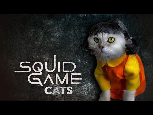 Squid Game Cats Tiktok #shorts