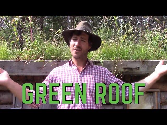 HOW TO  BUILD A GREEN ROOF!