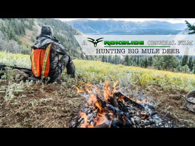 Hunting Big Mule Deer - a Rokslide.com Original