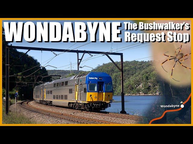 Wondabyne // The Request Stop In A National Park!