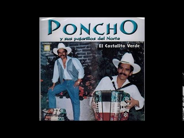 Poncho y sus pajarillos del norte Armando Rodriguez