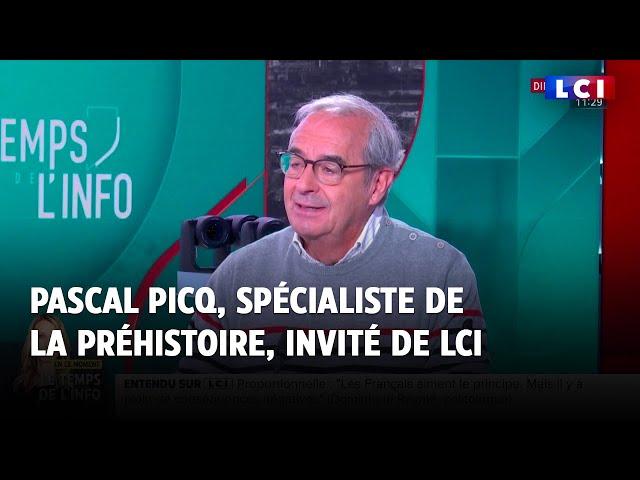 Pascal Picq, spécialiste de la Préhistoire, invité de LCI