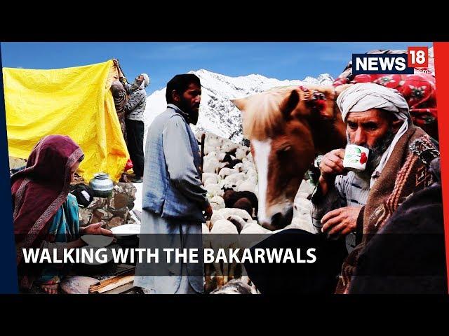 Walking With the Bakarwals | Through Jammu and Kashmir with the nomads | News18 Originals