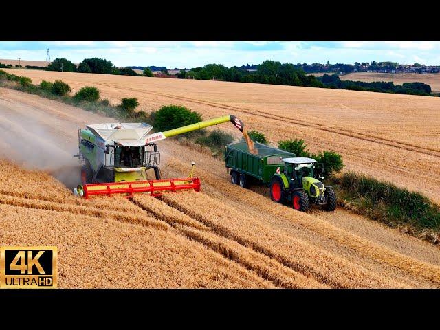 2024 MEGA XXL CLAAS Lexion 8800 Harvesting Wheat Along With Claas Tractor YORKSHIRE