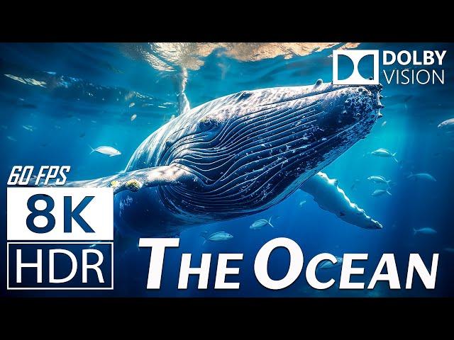 THE OCEAN (8K HDR) - Scenic Relaxation Film - Peaceful Relaxing Music - 8K Video Ultra HD