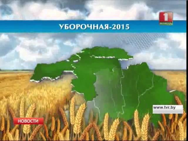 В Беларуси намолотили более 3-х миллионов тонн зерна