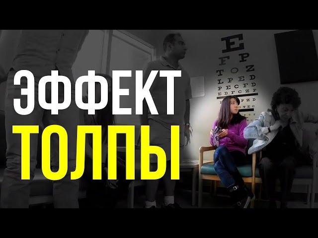 Эффект толпы - социальный эксперимент / Brain games - social conformity