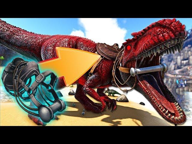 ARK Survival Evolved где искать топовый лут на карте осторов! легендарные седла и чертежи в АРК! #73