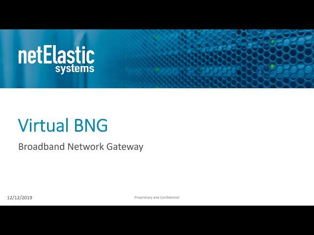 netElastic vBNG Overview