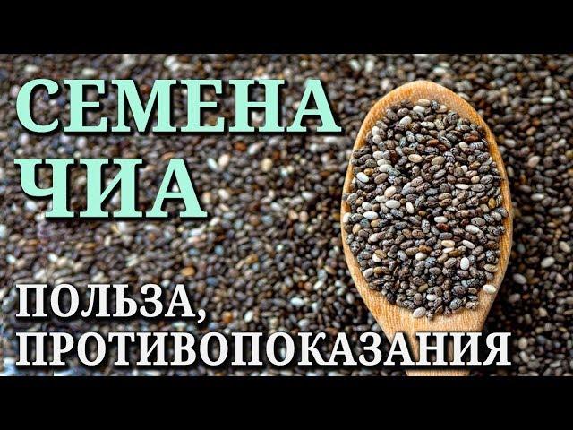 СЕМЕНА ЧИА. Состав, полезные свойства и противопоказания, как употреблять