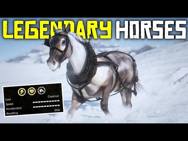 10 RAREST Horses YOU MISSED in Red Dead Redemption 2