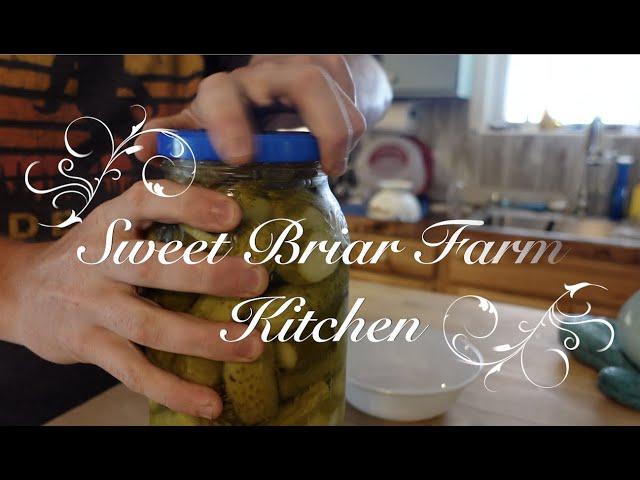 Homemade Sun Pickle Review! Sweet Briar Farm Kitchen