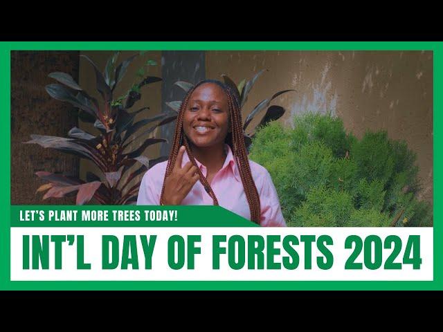 AYGF PRESENTS: THE INTERNATIONAL DAY OF FORESTS