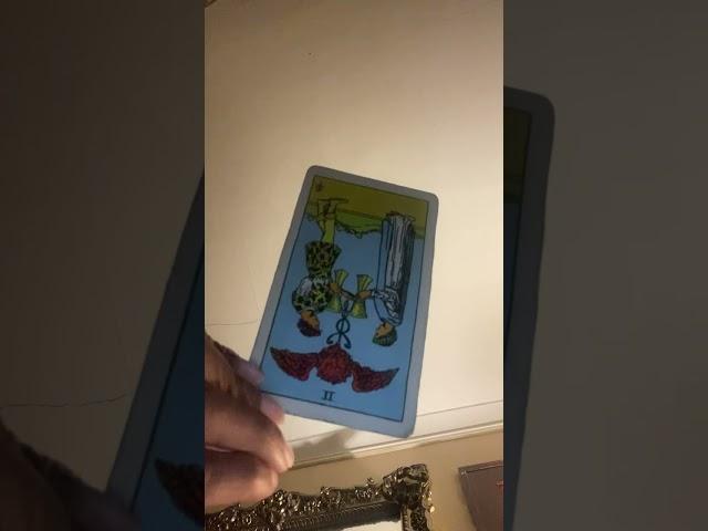 KARMIC FAMILY HAD A SECRET BABY WITH YO EX THAT HAS AN STD NOW THEYRE MAD THAT YOU DONT CARE… TAROT