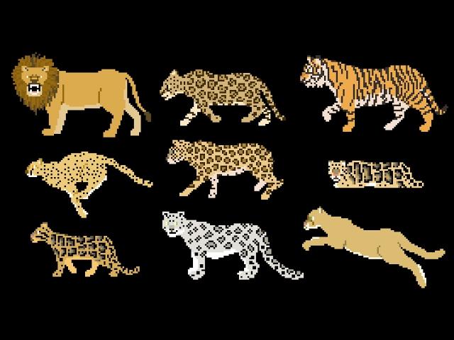 Big Cats - Animals Series - Lion, Tiger - The Kids' Picture Show (Fun & Educational Learning Video)