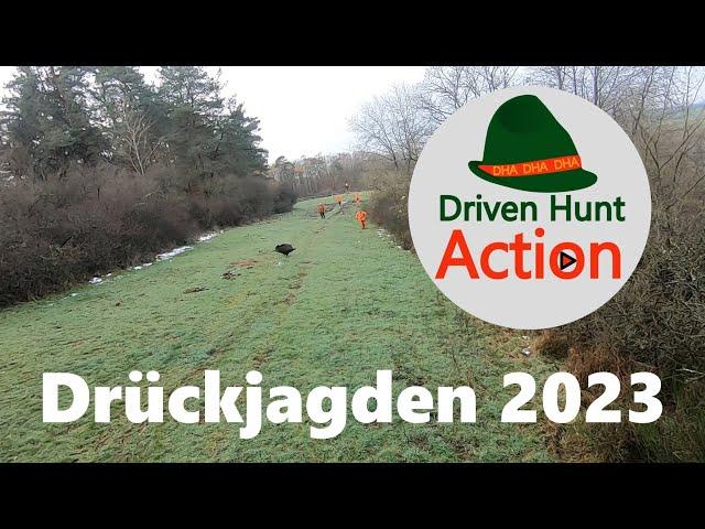 Drückjagden 2024 - Auf Sau, Reh und Fuchs