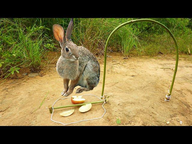Simple Easy Rabbit Trap Make From Bamboo Work 100%