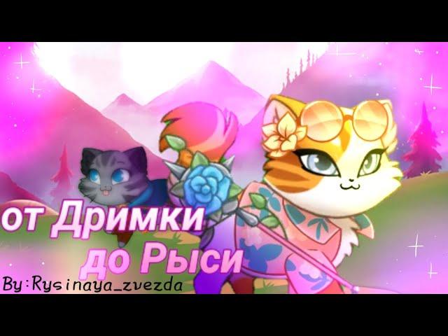 от Дримки до Рыси|Castle cats| by:Rysinaya_zvezda