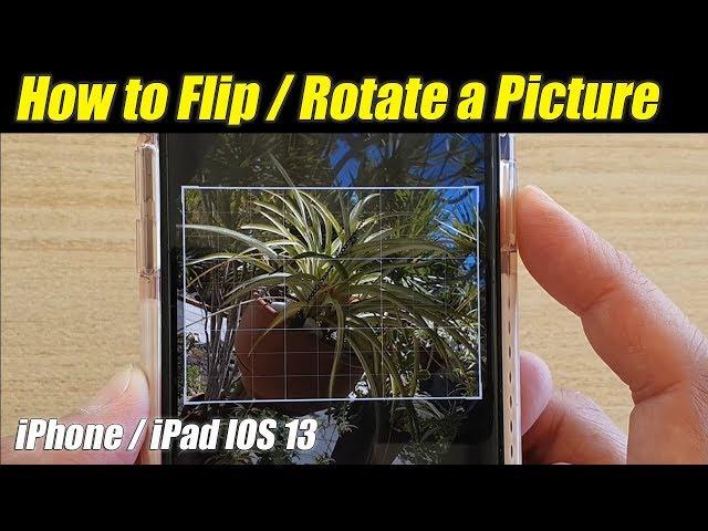 How to Flip / Rotate Picture in Photos on iPhone 11 | IOS 13