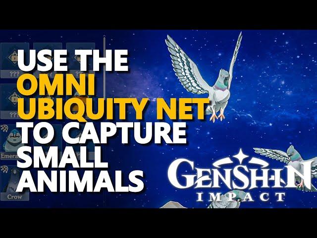 Use the Omni Ubiquity Net to capture small animals Genshin Impact