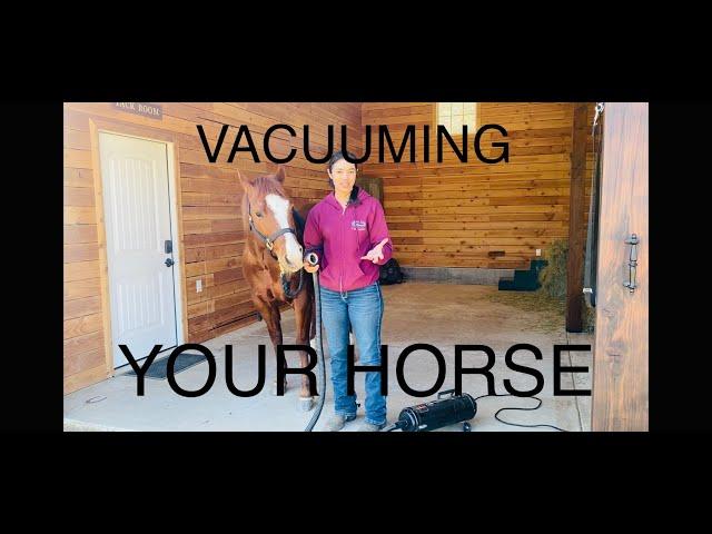 Vacuum your Horse