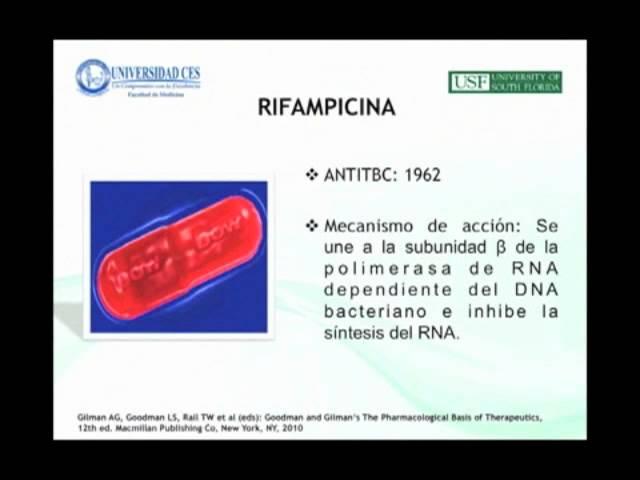 Hepatotoxicity Induced by Antituberculous Medications - Marie Claire Berrouet Mejia