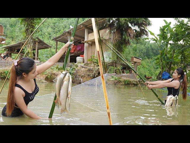 farm life - catch fish, cook live with nature, triệu lily