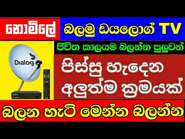 නොමිලේ ඩයලොග් tv බලමු | Watch Free TV on Dialog 2023  Sinhala / free data