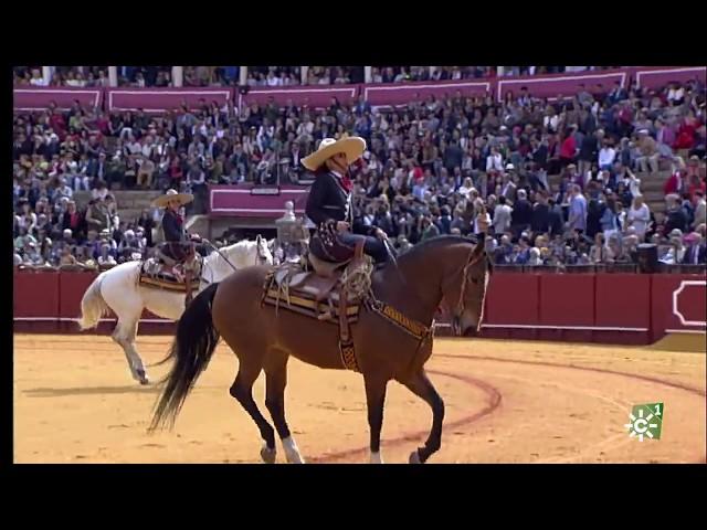 Real Maestranza de Caballería de Sevilla Medalla de Andalucía 2020 | Enganches de Sevilla 2018