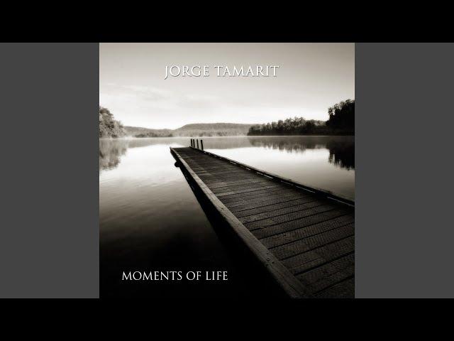 Moments Of Life