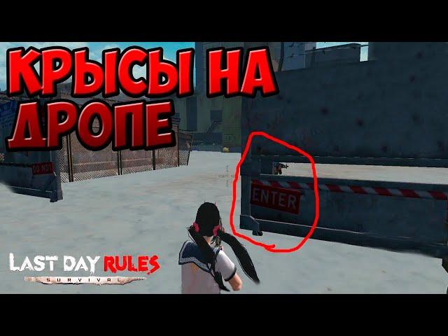 lp [4] Открываем дропы | Топ лут | Крысы | Last Day Rules: Survival | RUST mobile