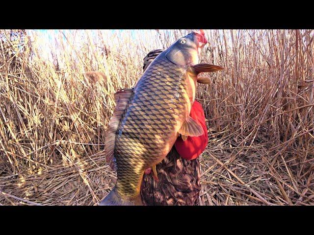 THE LARGEST CARP 2022 IN THE WINTER FOR CAKE AND OLD METHOD! Fishing in the cold with an overnight