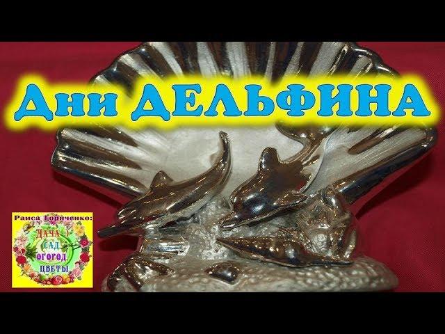 Нулевые Дни Дельфина Солнечного календаря