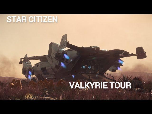 Star Citizen Anvil Valkyrie Tour I No Commentary