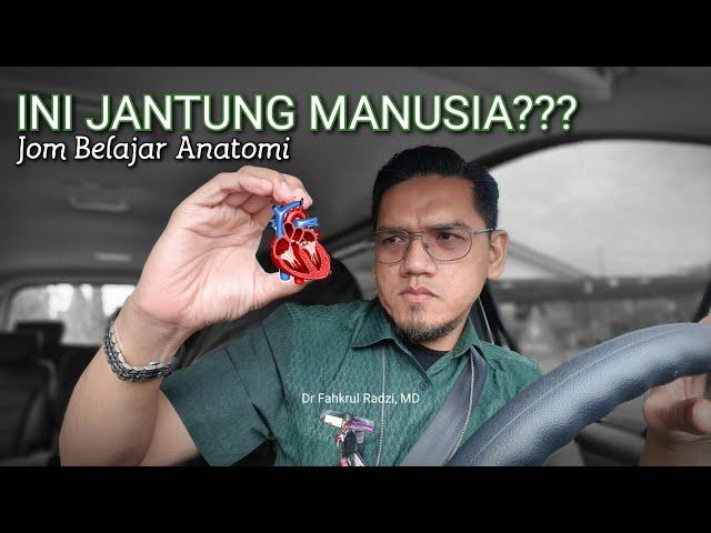 Jom Belajar Anatomi JANTUNG : Sembang Santai Sambil Memandu