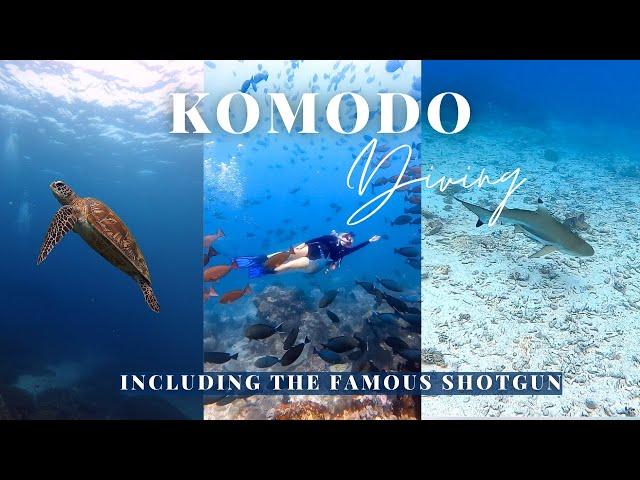 The Komodo Islands, Scuba Diving - A MIND BLOWING experience!!