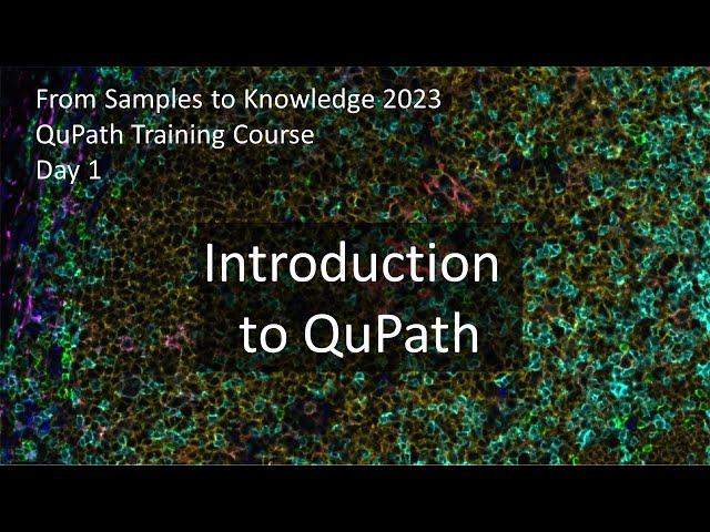 Introduction to QuPath