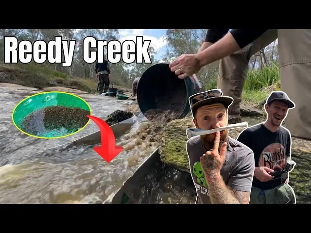 I Found a FORTUNE Crystal Hunting & Gold Panning in Reedy Creek!