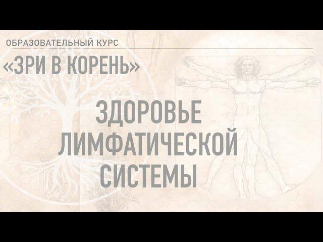 ЛИМФАТИЧЕСКАЯ СИСТЕМА - основы (часть 1)