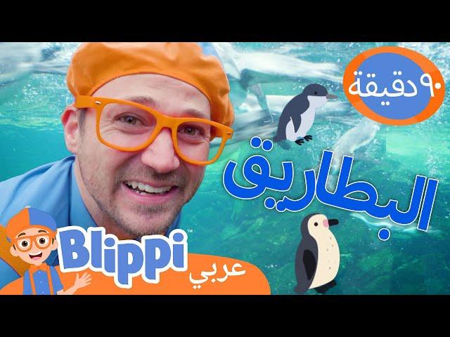 بليبي يتعلم عن طيور البطريق في حديقة الحيوانات | برنامج بليبي التعليمي | Blippi - بليبي بالعربي