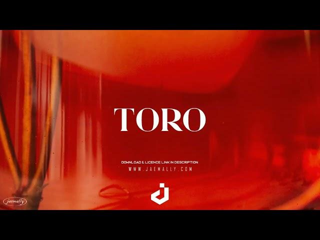 ''Toro'' - Afrobeat - Amapiano Infusion | Type Beat | Instrumental 2023