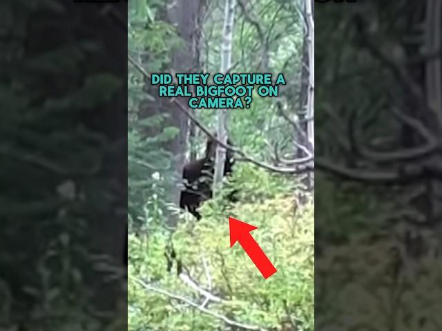 BIGFOOT Caught While Hunting In The FOREST!