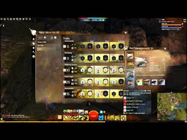 Guild Wars 2 Tank Beast Master Ranger Build