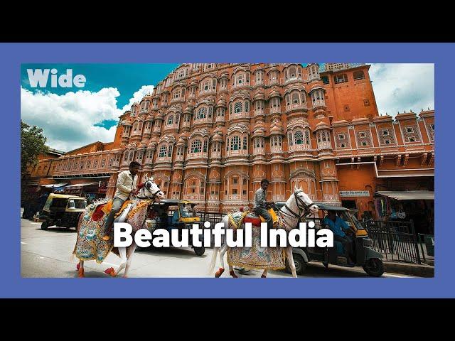 Northern India: Empire of Senses | WIDE | FULL DOCUMENTARY